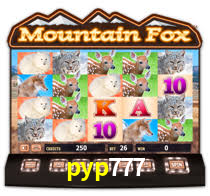 pyp777: A Experiência de Casino com Jogos de Mesa ao Vivo